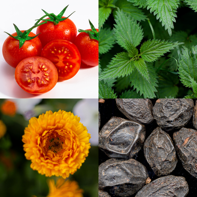 Tomatoes, nettle, and palmetto berries for men's health.